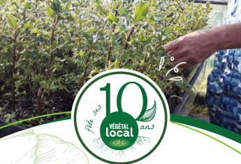 Végétal local 10ans